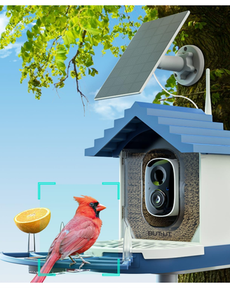 telecamera con mangiatoia