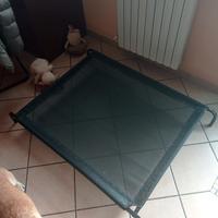 brandina per cani taglia media e grande 