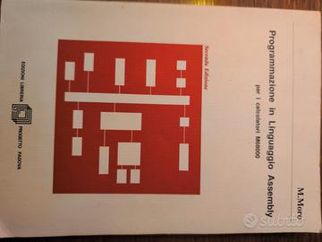Programmazione in Linguaggio assembly