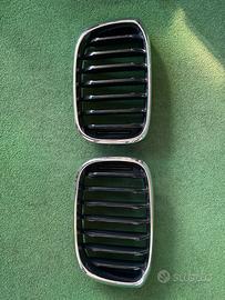 Doppio rene bmw x3