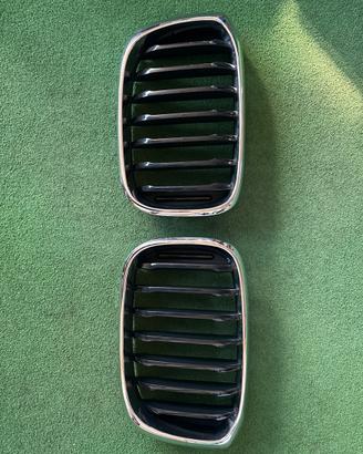 Doppio rene bmw x3