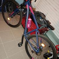 bicicletta donna 