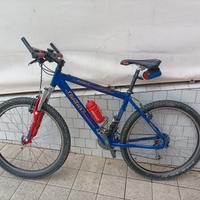 Bici MTB