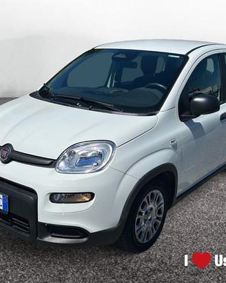 FIAT Pandina New PANDA Panda Serie 7 1.0 70cv...
