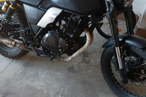 Brixton Glanville 250 - 2021