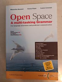 OPEN SPACE MULTITASKING GRAMMAR INGLESE  A2 /B2