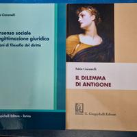 Libri giurisprudenza filosofia del diritto