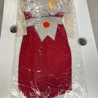 Costumi cavalieri zodiaco