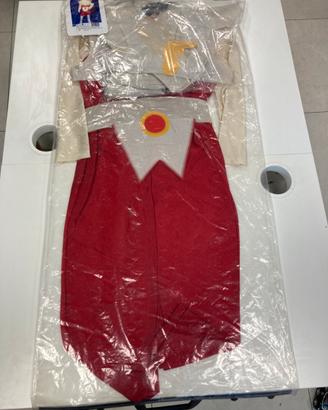 Costumi cavalieri zodiaco