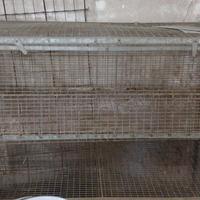 gabbie  per galline  o conigli 