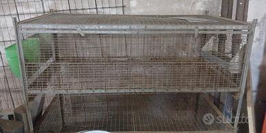 gabbie  per galline  o conigli 