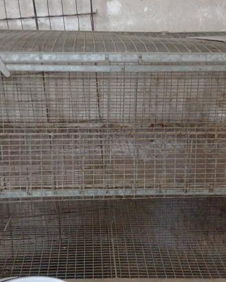 gabbie  per galline  o conigli 