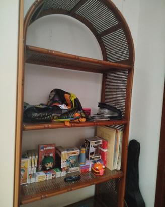 Libreria radica
