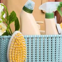 Pulizie domestiche di Domenica