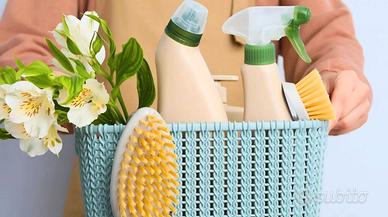 Pulizie domestiche di Domenica