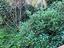 Immagine 20