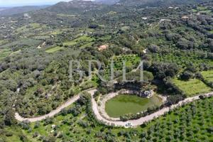 Tenuta di 16 ettari con villa, uliveto e vista mar