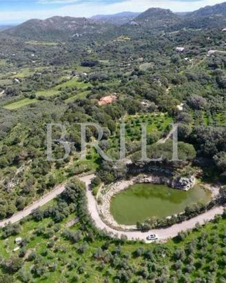 Tenuta di 16 ettari con villa, uliveto e vista mar