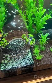 Fiume di bolle per acquario