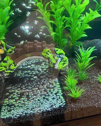 Fiume di bolle per acquario
