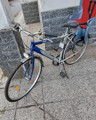 Bici Carnelli 