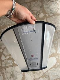 Collare elisabettiano