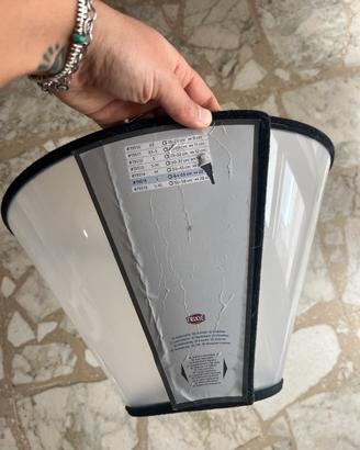 Collare elisabettiano