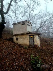 Terreno con annesso rustico