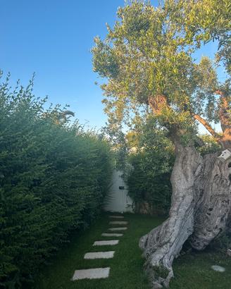 villa a Rosa Marina – Ostuni