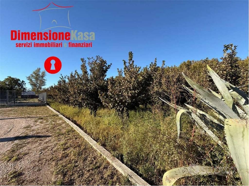 Terreno di 4025 m² a Cimitile - Vista 3