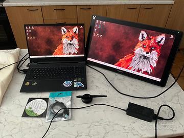 Huion Kamvas 22 Plus Pen Display (solo monitor)