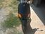 Immagine 1