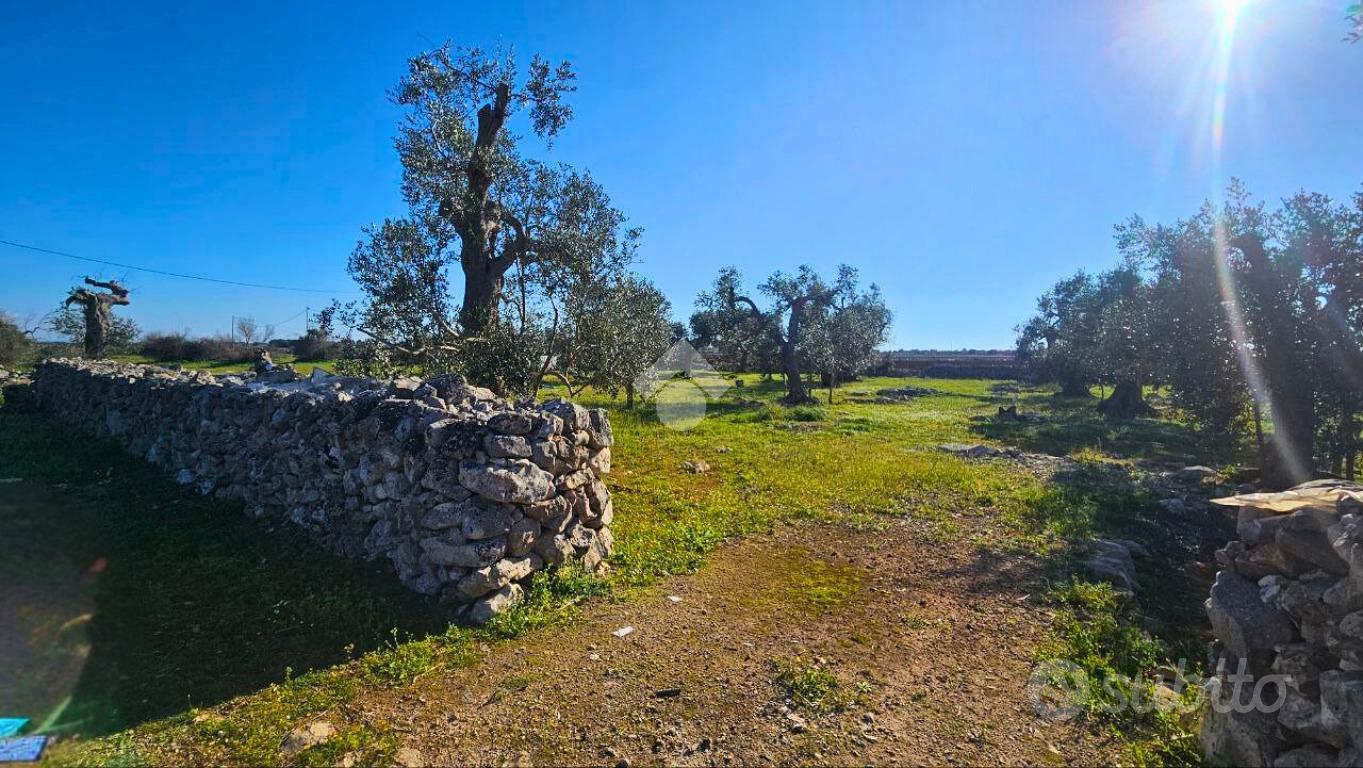 TER. AGRICOLO A NARDÒ - Vista 3