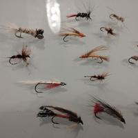 pesca a mosca , galleggianti e affondanti