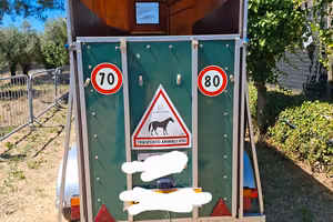 trailer cavalli 1 posto e mezzo 