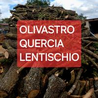 legna