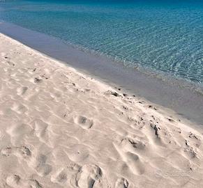 A due passi dal mare. Carloforte