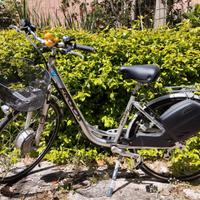 bici elettrica