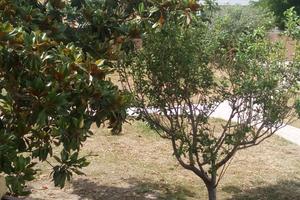 Vacanze al mare di Orosei