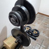 Dischi olimpionici 50 mm