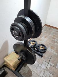 Dischi olimpionici 50 mm