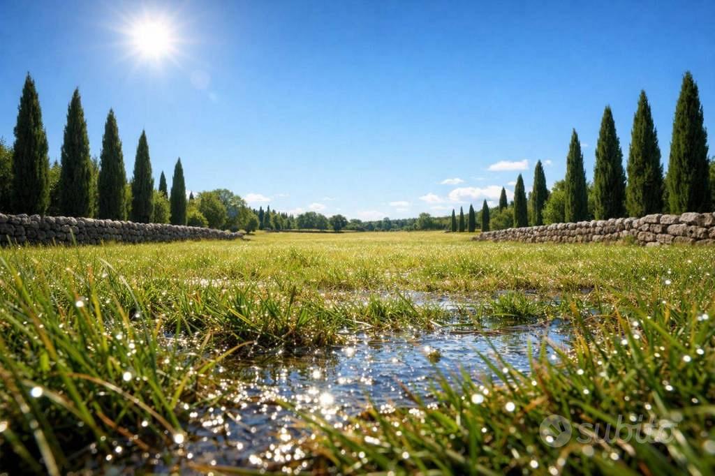 Immobile in asta di 200 m² a Catanzaro - Vista 5