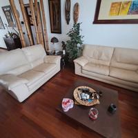 Divani in vera pelle by Natuzzi.                  