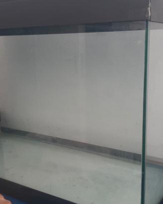 Acquario 150 litri