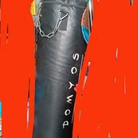 Sacco boxe da soffitto