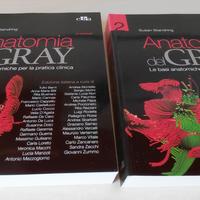 Anatomia del Gray 41^ Ed. - Copertina flessibile