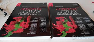 Anatomia del Gray 41^ Ed. - Copertina flessibile