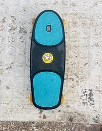 skatebord