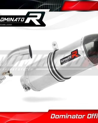 SCARICO TERMINALE SPECIAL TITANIO BMW R1200R