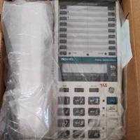 Telefono digitale Pro series FE2-9387